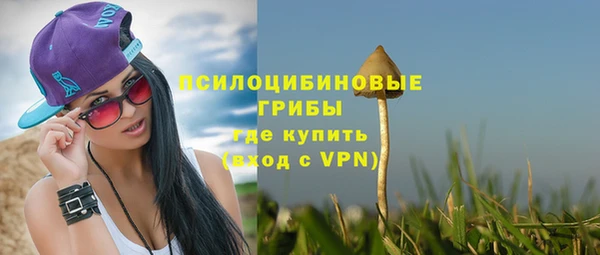 стаф Снежинск