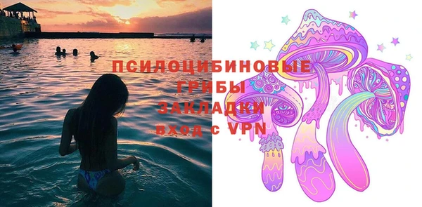 прущая мука Снежногорск