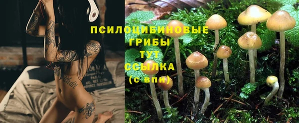 гидра Баксан