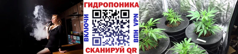 OMG вход  Лесной  МАРИХУАНА OG Kush  shop Telegram  где продают наркотики 
